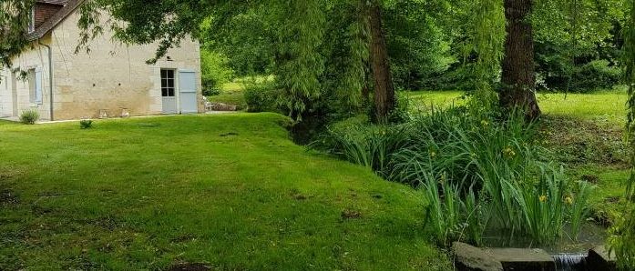 le petit ruisseau ombragé dans le jardin